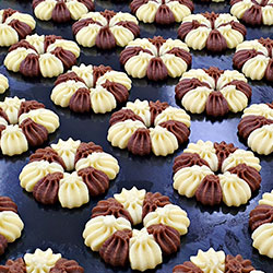 paircookie 13 250x250
